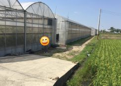 (小雅之家)彰化花壇新中庄段優質溫室網架農場農地(A)