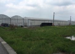 (小雅之家)彰化花壇新中庄段優質溫室網架農場農地(B)