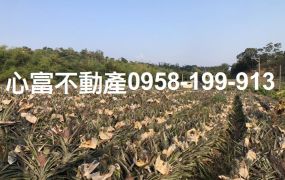 鳥松松埔北巷臨路農地