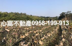 買農地節稅!!鳥松優美農地
