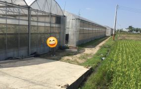 (小雅之家)彰化花壇新中庄段優質溫室網架農場農地(A)