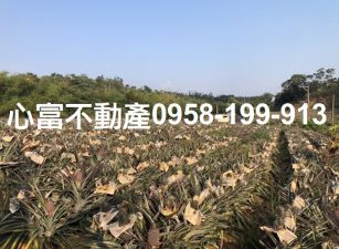 鳥松松埔北巷臨路農地
