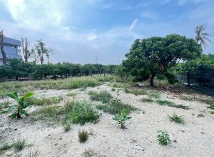 岡山近RK3捷運開發區都內農地#紅線內高潛力