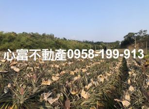 推!!鳥松風景優美農地(買農地節稅)