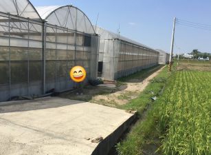 (小雅之家)彰化花壇新中庄段優質溫室網架農場農地(A)
