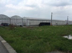 (小雅之家)彰化花壇新中庄段優質溫室網架農場農地(B)