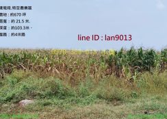 佳里港墘方正休閒農地