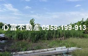 彌陀都內近台17農地