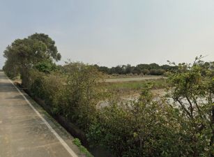 新屋區台61一般農業區農地