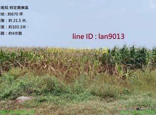 佳里港墘方正休閒農地
