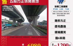 新北廠房廠辦 五股農地