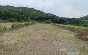 新北廠房廠辦 龜山都內農地