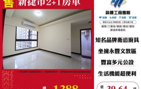 新捷市2+1房車