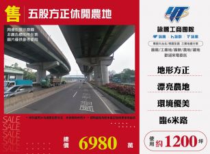 新北廠房廠辦 五股農地