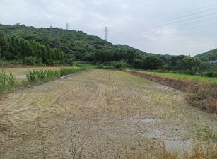 新北廠房廠辦 龜山都內農地