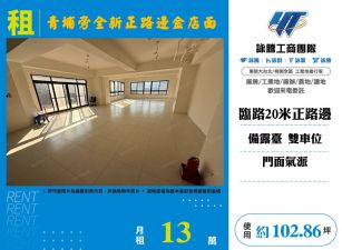 青埔旁全新正路邊金店面