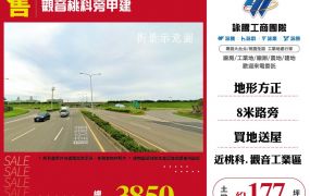觀音桃科旁甲建