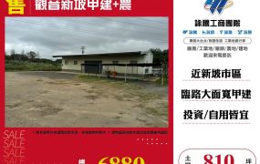 觀音新坡甲建+農