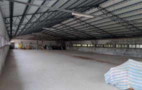 觀音千坪特農甲建