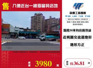 八德近台一線麥當勞店地