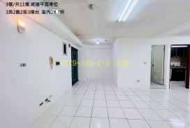 永康蓮莊明亮大3房平車