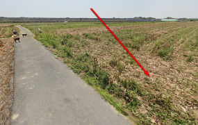 鹿草鄉施家村一般農地、土地完整，價格便宜