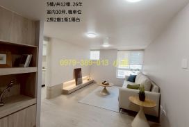 永康熱帶嶼挑高設計二房