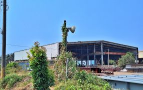 新園五房鄰沿海路農地2.7分，捷運願景收租樂活人生從此開始