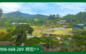 美濃｜售農地▶︎高雄美濃湖畔｜夢想休閒農地誠意出售✅