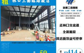 林口三面臨路廠店