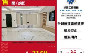 民安稀有電梯華廈三房車
