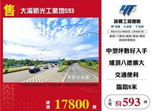 大溪新光工業地593