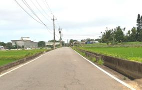 雙面臨路~~楊梅上湖段小農地