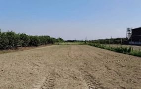 大樹大地坪面20米大馬路雙面路農地