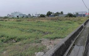 阿蓮面台19甲大面寬雙面臨路超方正美農地