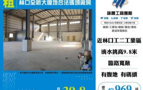 林口全新大腹地合法碼頭廠房156