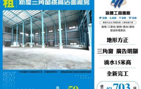 新屋三角窗挑高店面廠房156