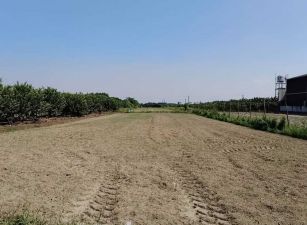 大樹大地坪面20米大馬路雙面路農地