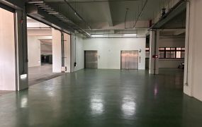 近廣豐大面寬科技廠房