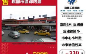 桃園市區都內農