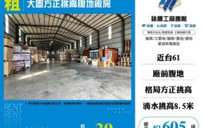 大園方正挑高腹地廠房155