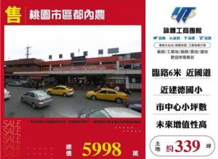 桃園市區都內農