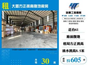 大園方正挑高腹地廠房155