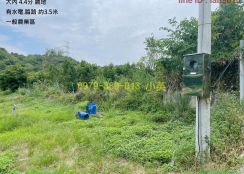 大內有水電4.4分低價農地