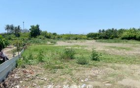 明興都內599坪一般農地