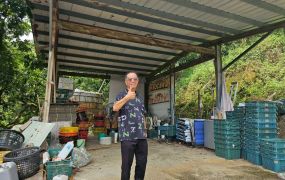 台中買屋賣房【決心賣】霧峰桐林北溝小段1甲8景觀農地