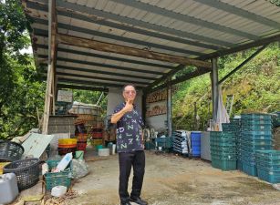 台中買屋賣房【決心賣】霧峰桐林北溝小段1甲8景觀農地