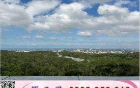 竹北30米路氣派RC獨棟廠房(可依法廠登)