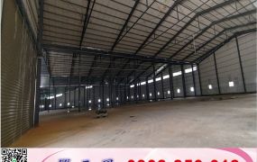 林口交流道挑高鋼構碼頭+腹地廠房