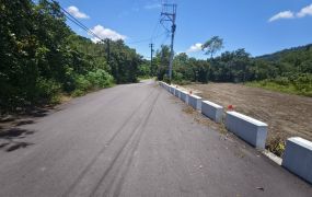 專約|六龜新發國小4.9分臨路農地|有電